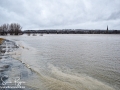 Spring Freshet 2018 Fredericton NB ©SJR_6458