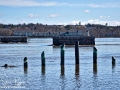 Spring Freshet 2018 S ©SJR_6477