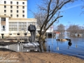 spring freshet 2018s© LDD_7395