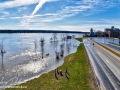 spring freshet 2018s© LDD_7403