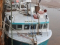 St Martins NB2015 104