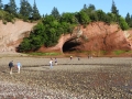 St Martins NB2015 121