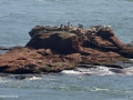 st martins 028