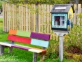 st martins free little library©LDD_7685