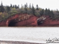 st martins sea caves©LDD_7669