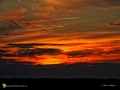 SunsetKingsclearNB20161048