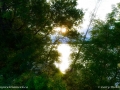 sunset_river