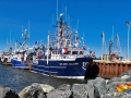 caraquet wharf©LDD_6104