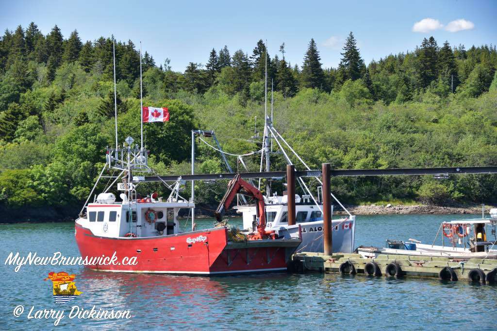 Black's Harbour Fishing Boats
