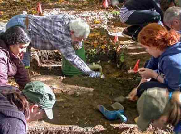 Archaeologists at work