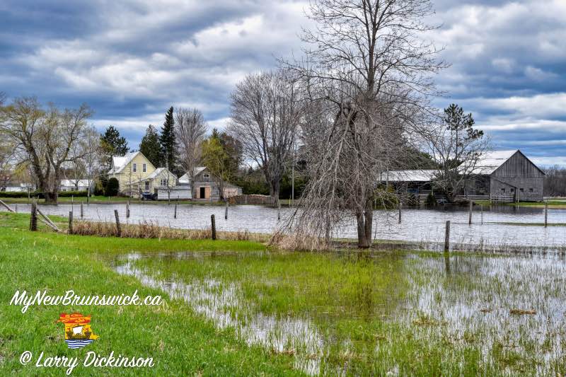 Maugerville Farm flooded 2017
