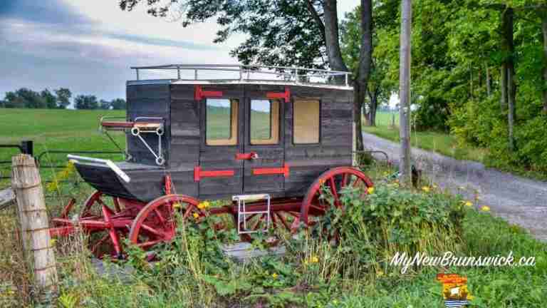 Stagecoach Services in New Brunswick