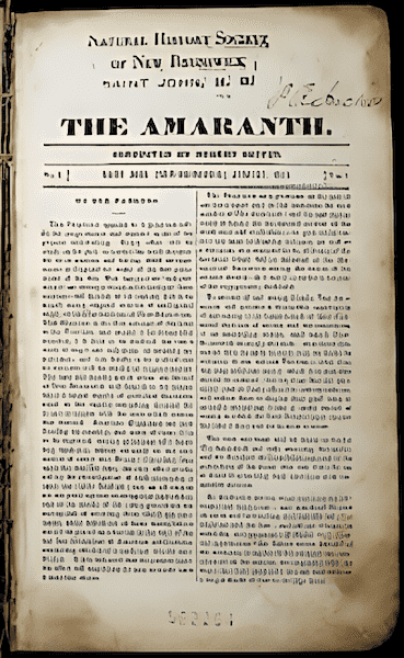 Amaranth Magazine